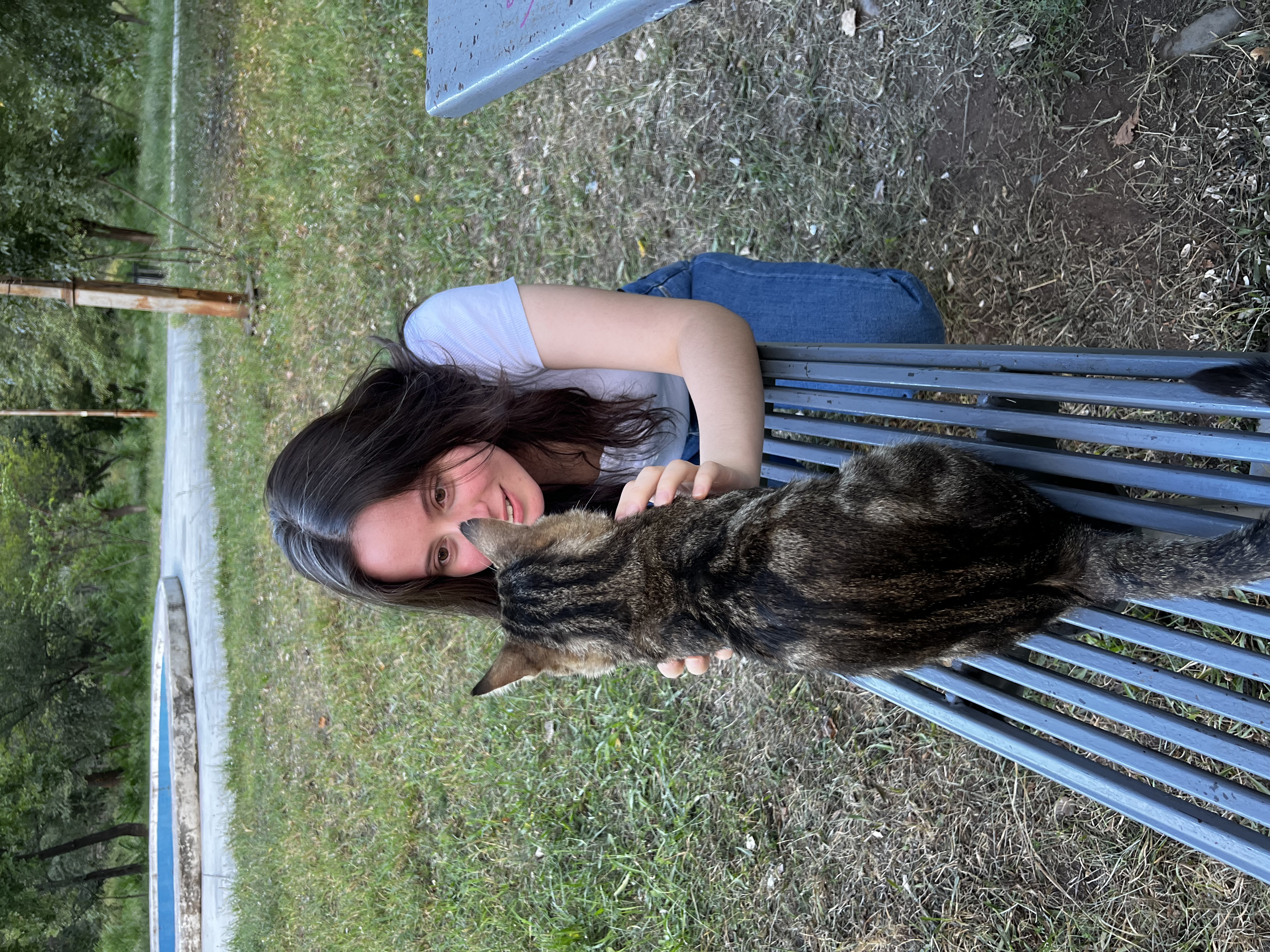 მარი და ფისო